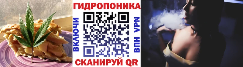 Купить где  Одинцово  Cannafood конопля 