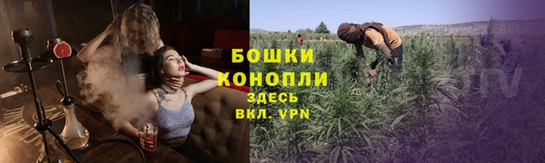 МДПВ Струнино