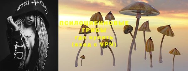 герыч Ступино