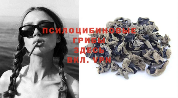 герыч Ступино
