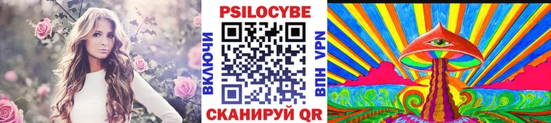 Купить закладки  Одинцово  Галлюциногенные грибы Magic Shrooms 